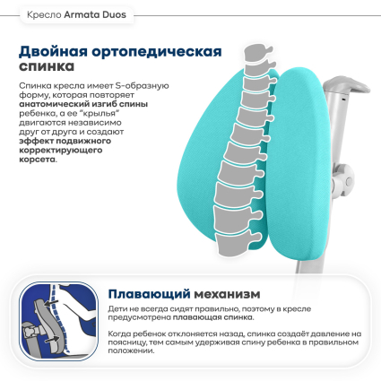 Двукрылая спинка